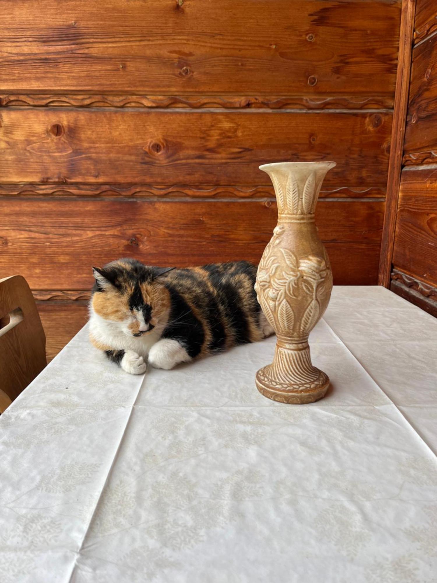 Willa Slotwinka Krynica Zdroj Luaran gambar
